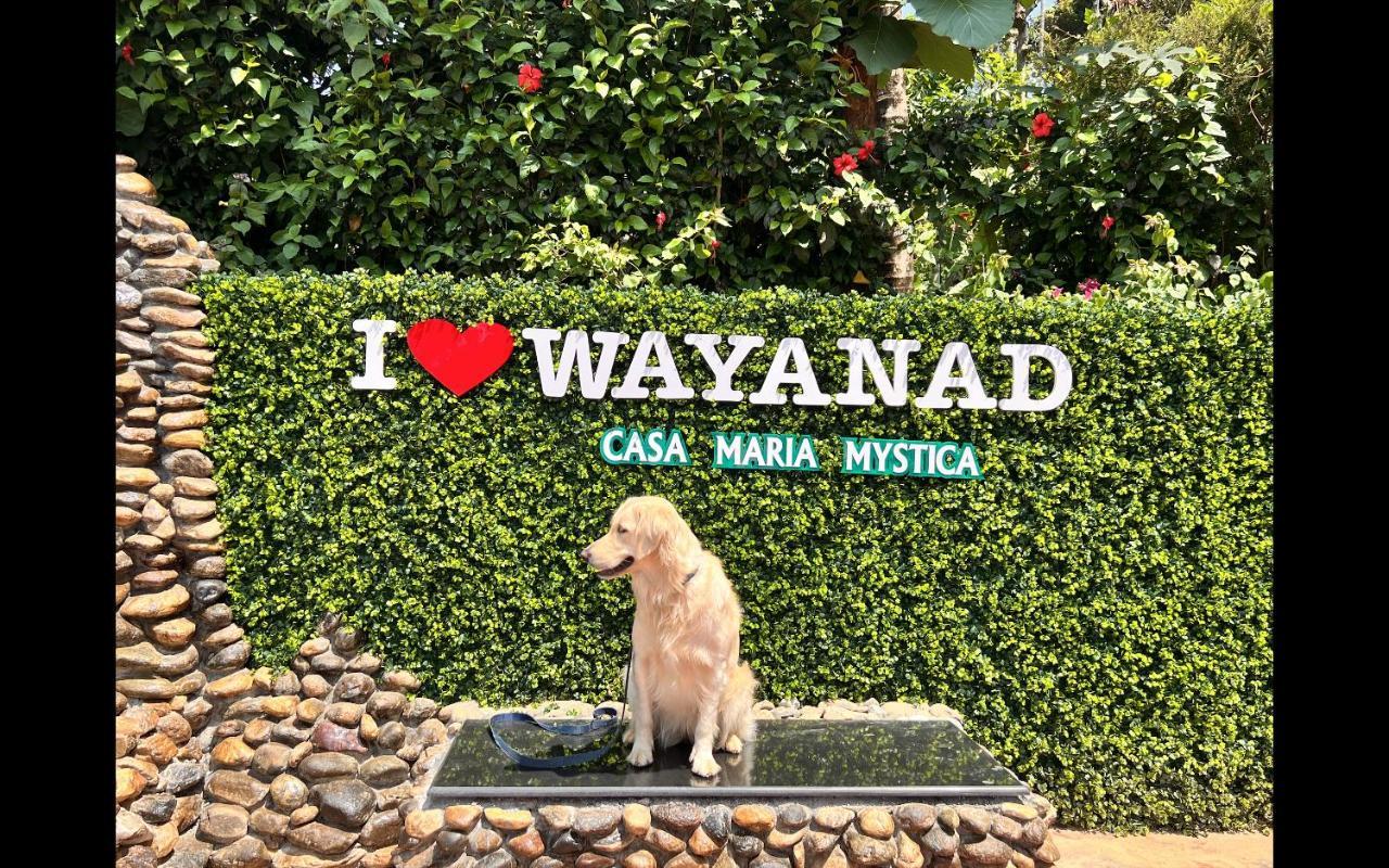 Casa Maria Mystica Apartments, Mananthavady, Wayanad Ngoại thất bức ảnh